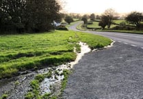 'Hosepipe ban follows disgraceful amount of water leaks'