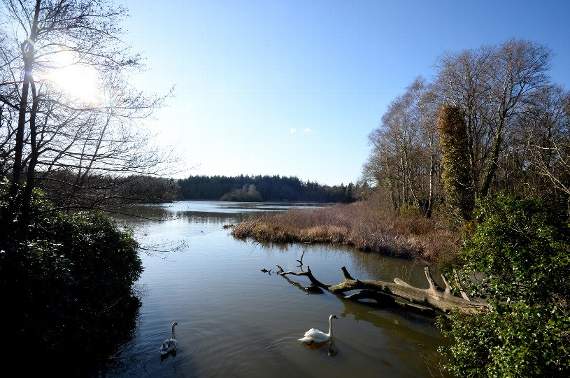 Parking fees hike for Stover Park