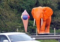 Tortoise on run for two weeks finally apprehended near Devon landmark