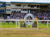 All bets are on... As Race Days return to Newton Abbot Racecourse for up to 4,000