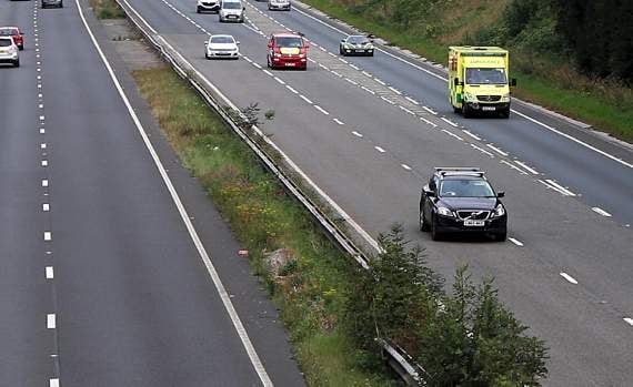 Family hopes for change in law after dog walker dies in freak accident, inquest hears