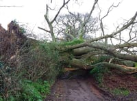 Travel only if necessary warning as Storm Eunice heads towards Teignbridge