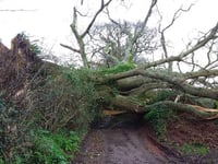 Travel only if necessary warning as Storm Eunice heads towards Teignbridge