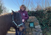 Pony charity devastated as thieves strike