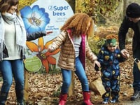 Nature lessons on  forest trail