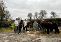 New cairn for pony charity thanks to kind hearted builders