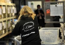 Help Newton Abbot hedgehog charity win £1,000