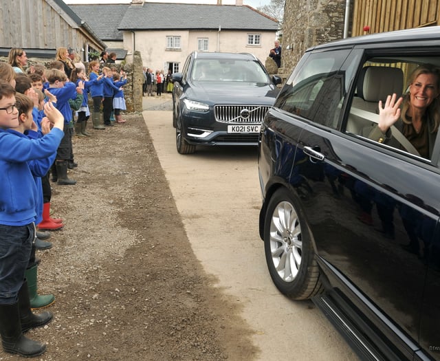 Don't miss Dartmoor farm's coffee morning