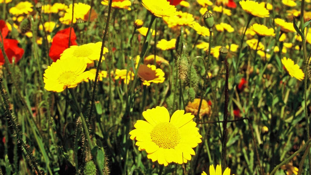 Why Teignbridge is so special dawlishtoday.co.uk