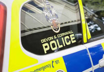 Police update after spate of vehicle thefts in Devon
