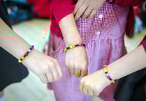 Children’s wellbeing festival deemed a delight