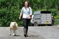 Something for everyone at the Devon County Show