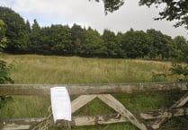 Gypsy site wins planning appeal 