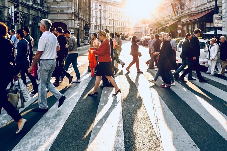zebra crossing