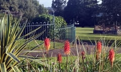Our award winning local parks