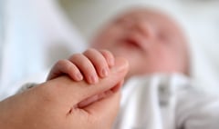 Fertility rate rises in Teignbridge