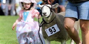 91st summer show to make sizzling return