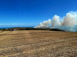 Firefighters tackle blaze at National Trust grounds 