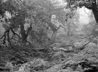 Close-up on rivers and paths of the moors