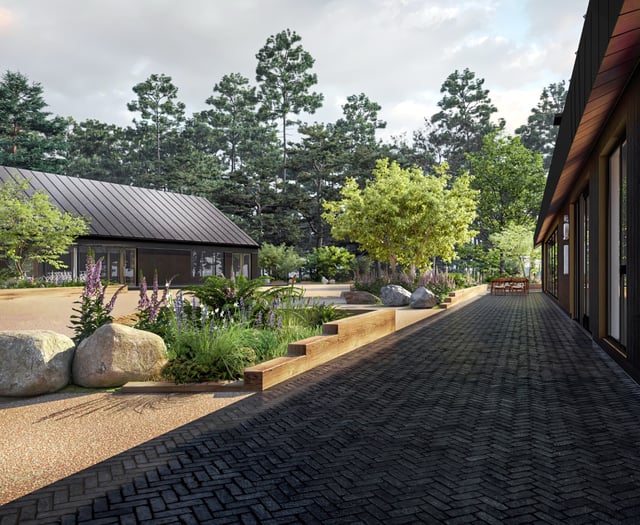 New vision for Haldon Forest Park revealed