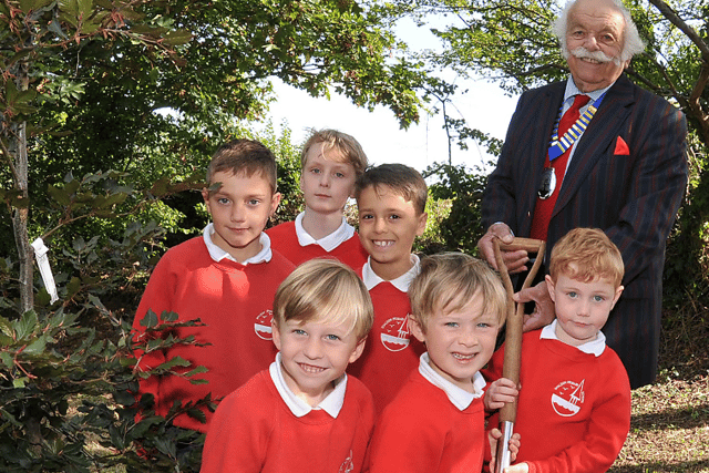 Tree planting for late monarch