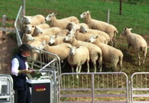 Innovation is in the air at farm open day