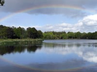 Heatwave causing fish deaths at Stover Lake