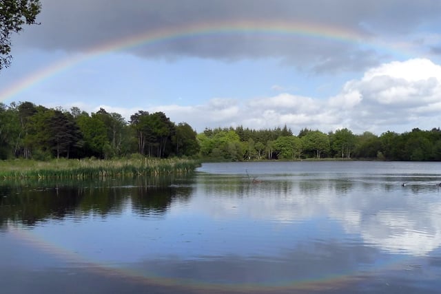 Heatwave causing fish deaths at Stover Lake
