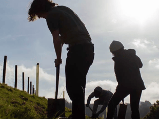 Restoring Darmoor’s Woodland 