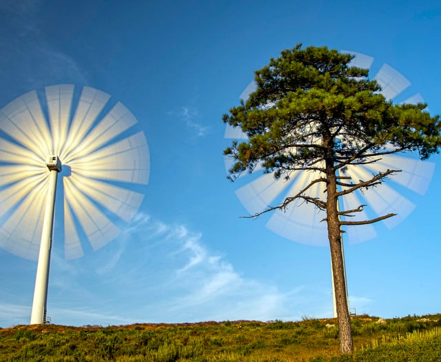 Our fragile earth revealed in exhibition