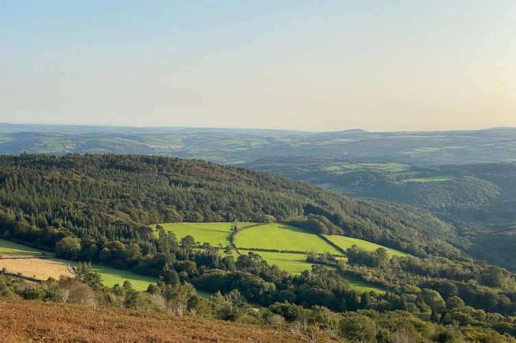dartmoor.jpeg