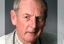 Doctor David Halpin's latest column: 'Local government’s failings'
