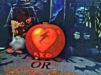 Help save a life – learn to use a defib