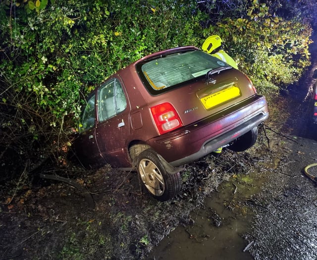 Car crashes into water filled ditch