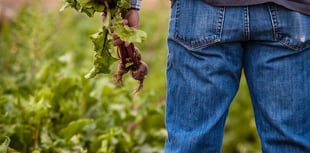 Concern over levels of mental health in farming