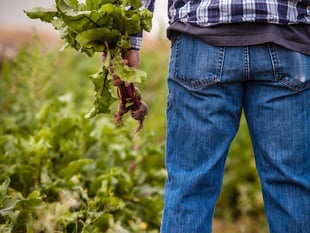 Concern over levels of mental health in farming