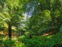 Campaign urges locals to visit tourist attractions