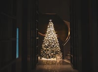 Festival of Christmas trees in church
