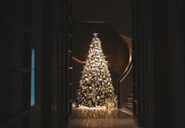 Festival of Christmas trees in church