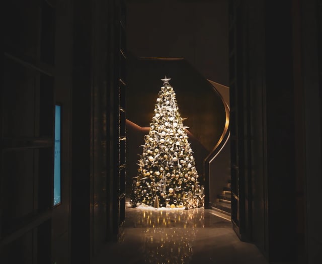 Festival of Christmas trees in church