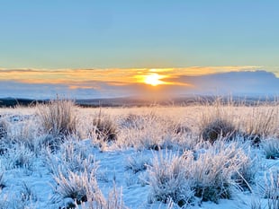 Yellow warning of ice and fog issued for tonight and tomorrow morning
