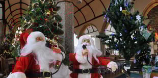 Christmas tree festival opens this weekend 