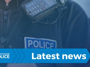 Scam warning if you’re selling a car