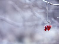 UKHSA issues amber cold weather alert 