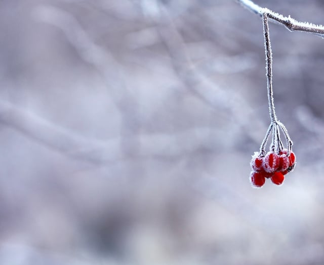 UKHSA issues amber cold weather alert 