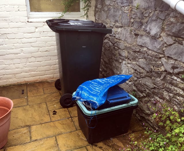 Christmas rubbish bin collections