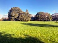 Hundreds respond after backlash over green space disposal plans