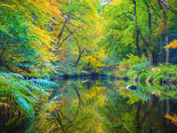 £38m fund to help Dartmoor