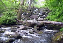 These famous Devon waterfalls have been among the most beautiful in Britain