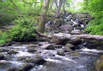 Becky Falls earns place in top UK waterfall walks list